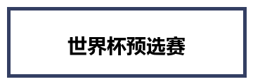 世界杯预选赛