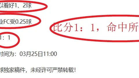 上海海港击败河南队，国脚发挥亮眼